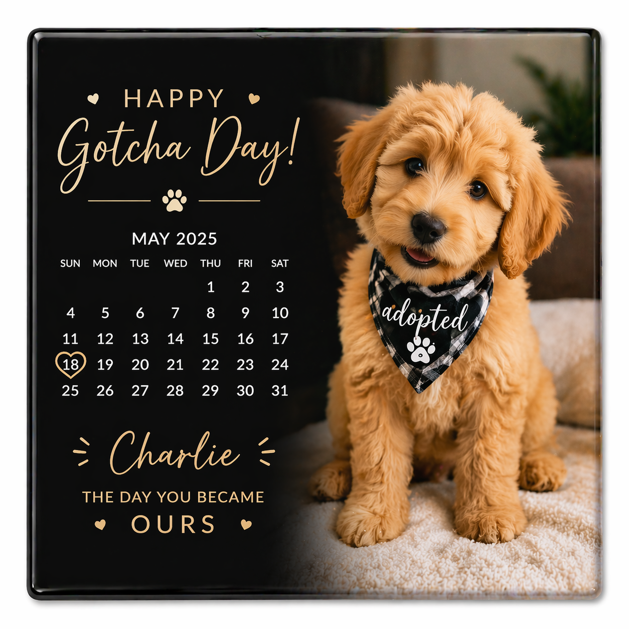 Custom 2.6x2.6 Photo Magnet (Single)